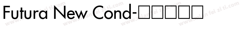 Futura New Cond字体转换